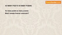 Shalom Freedman - So Many Poets So Many Poems