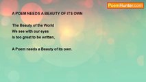 Shalom Freedman - A Poem Needs A Beauty Of Its Own