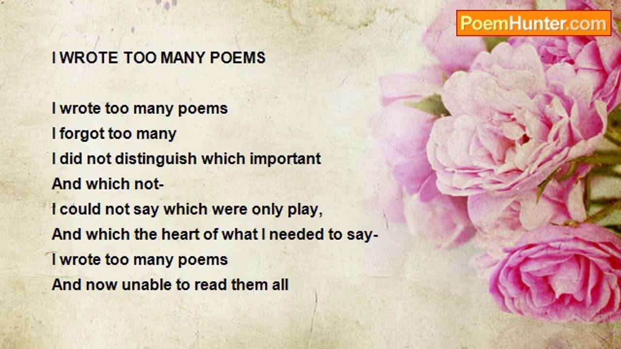Shalom Freedman - I Wrote Too Many Poems