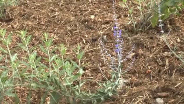 LES W-D.D. MICHOU FRIDAY NEWS - 12-13 JUIN 2014 - ILLUMINATIONS NOCTURNE DU STADE NAUTIQUE & PREPARATION AVE NITOT.