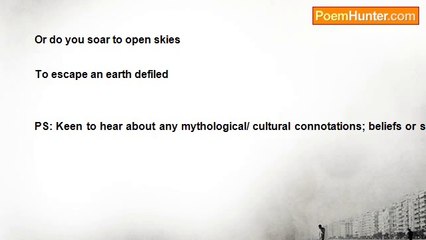 Anita Atina - An eagle watches over me