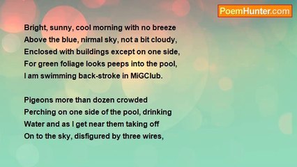 Daniel Trevelyn Joseph - From the Swimming Pool