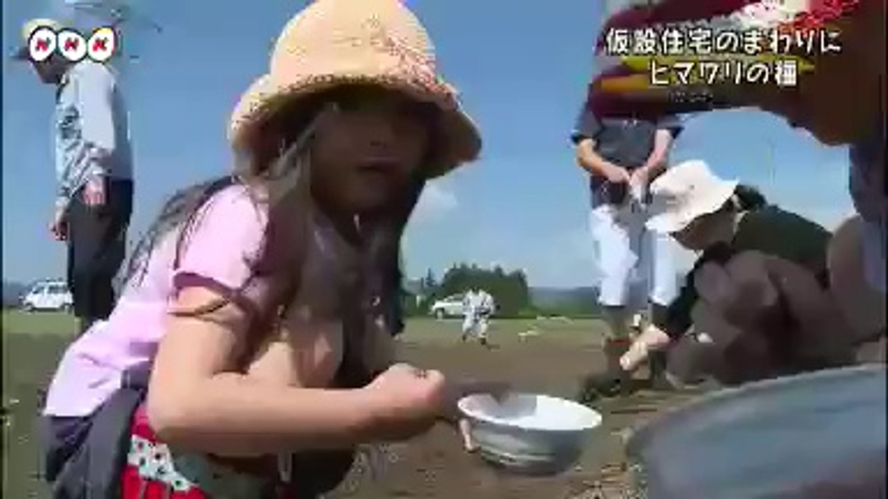 20140615仮設住宅近くヒマワリ種植え 福島