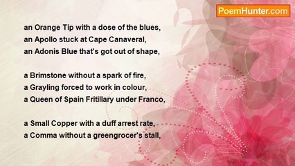 Wild Bill Balding - Imago