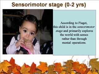 Learning About Disabilities