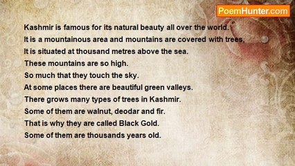 Muhammad Raza Master - KASHMIR