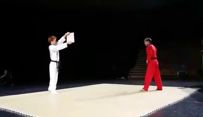 Ary Wow Kya Zabar dast kik mari ha ( Funny )