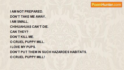 Rock on people how like pickles forget it - Puppy Mill