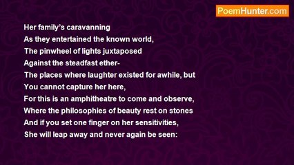 Robert Rorabeck - The Permanent Dream