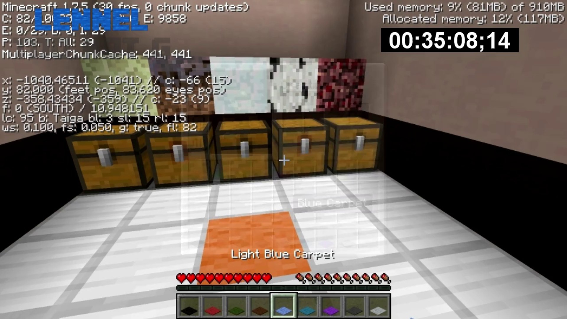 Fsg Minecraft Diversity Puzzle Branch 2 Diversirt 12 Video Dailymotion