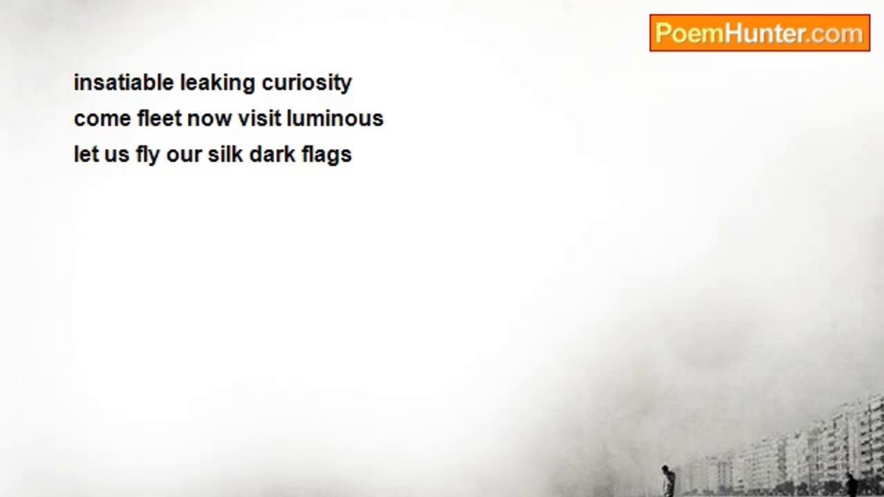Terence G. Craddock - Leaking Curiosity Luminous