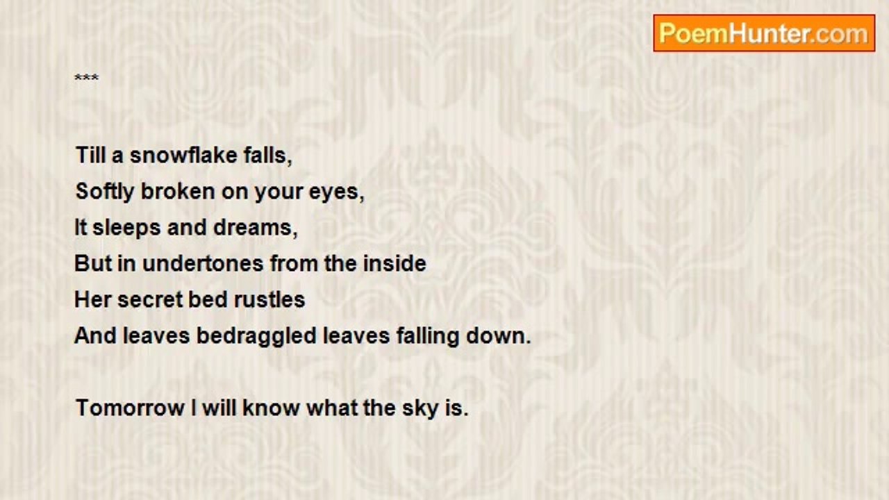 Tanja Bakic - Till a Snowflake Falls