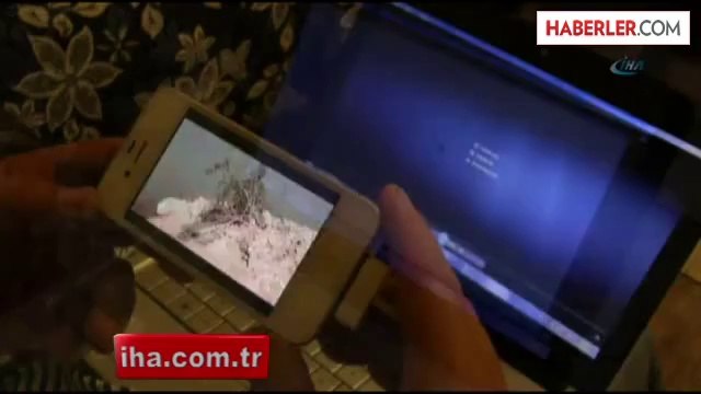 Sıcaktan Bunalan Ayılar Göle Girdi