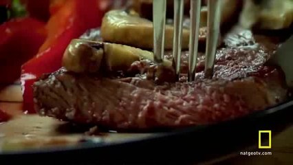 Flucht von der Erde - Dokumentation_clip2