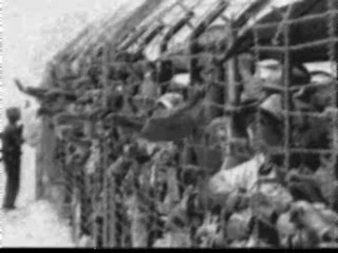 l'immigration clandestine compo