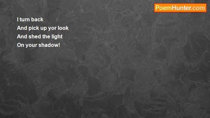 Framarz Bagheri - I capture you forever