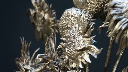 Sunflowers by Rob and Nick Carter