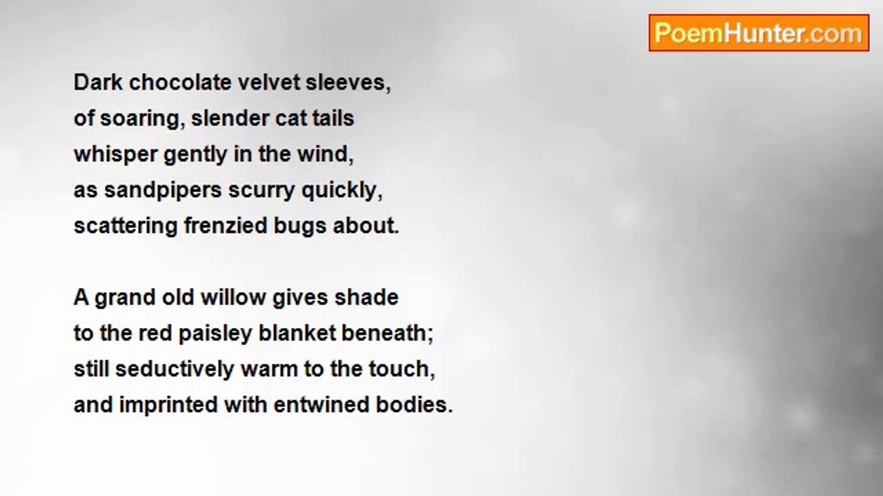 Kim Schilling - Saturday Afternoon Romance