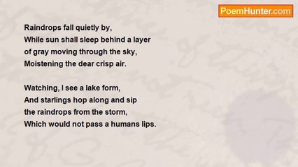 Ciaran Quirke - Raindrops A Necessity?