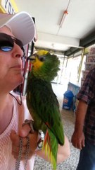 τρελός έρωτας