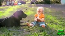 Baby _ Laughing Baby, Babies and Funny Dogs, Funny Babies _ Funny Video, Funny People #1