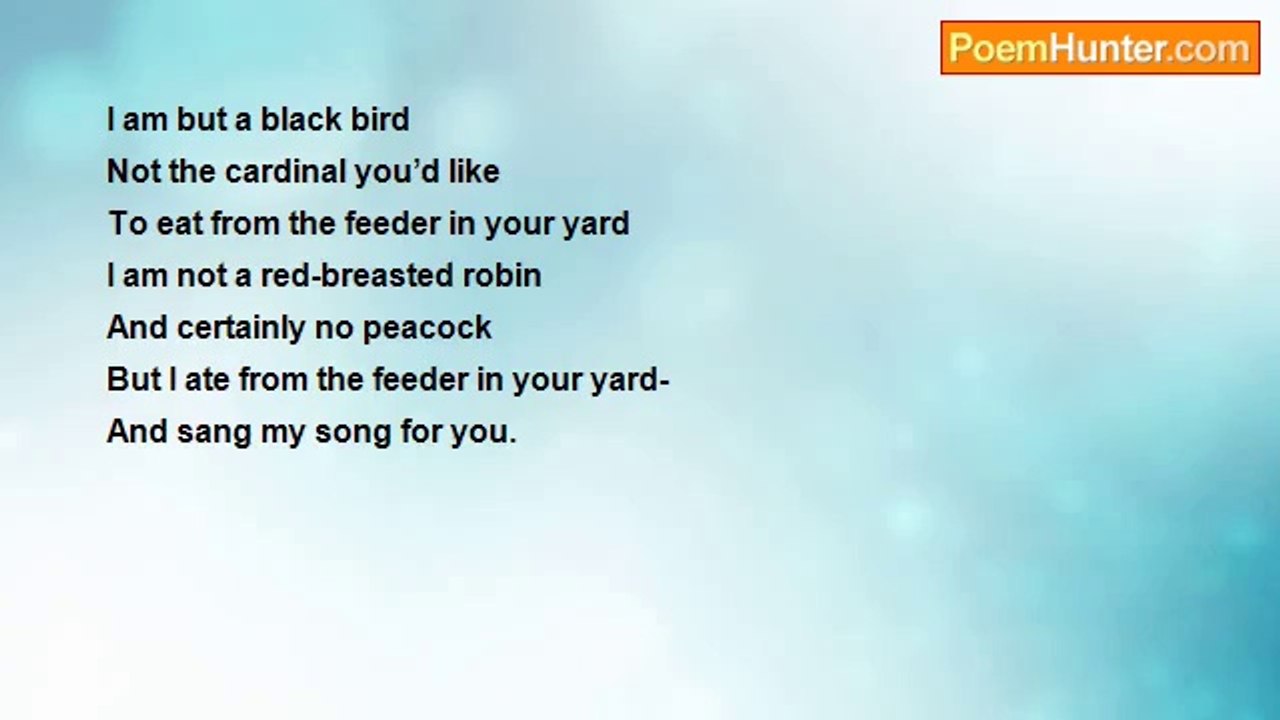 Kathryn Sweet - Black Bird