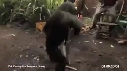 Dawn Of the Planet of the Apes VIRAL VIDEO