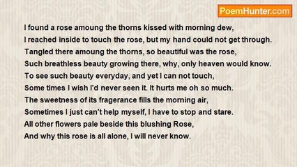 Crystal  G. Matthews - The Lonely  Rose