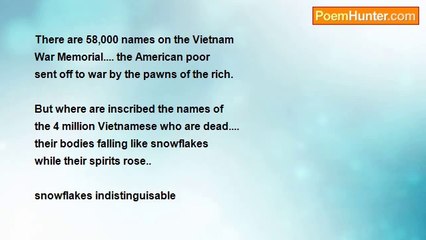 O Anna Niemus - Snow On The Vietnam War Memorial