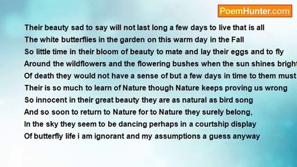 Francis Duggan - White Butterflies