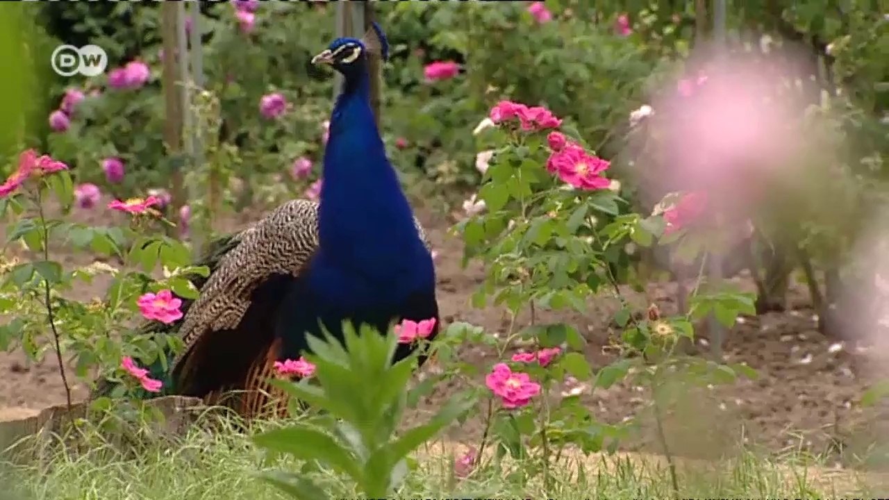 UNESCO Welterbe - deutsche Parks und Gärten | Hin & weg