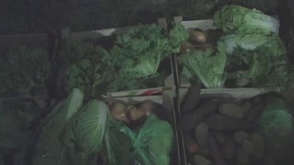 AMAP-ALTERNATIVE-ALIMENTATION