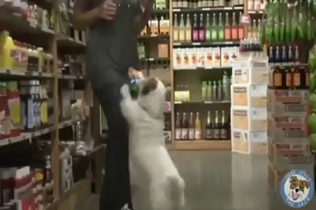 BÖYLE BİR KÖPEĞİNİZ OLSUN İSTER MİYDİNİZ?