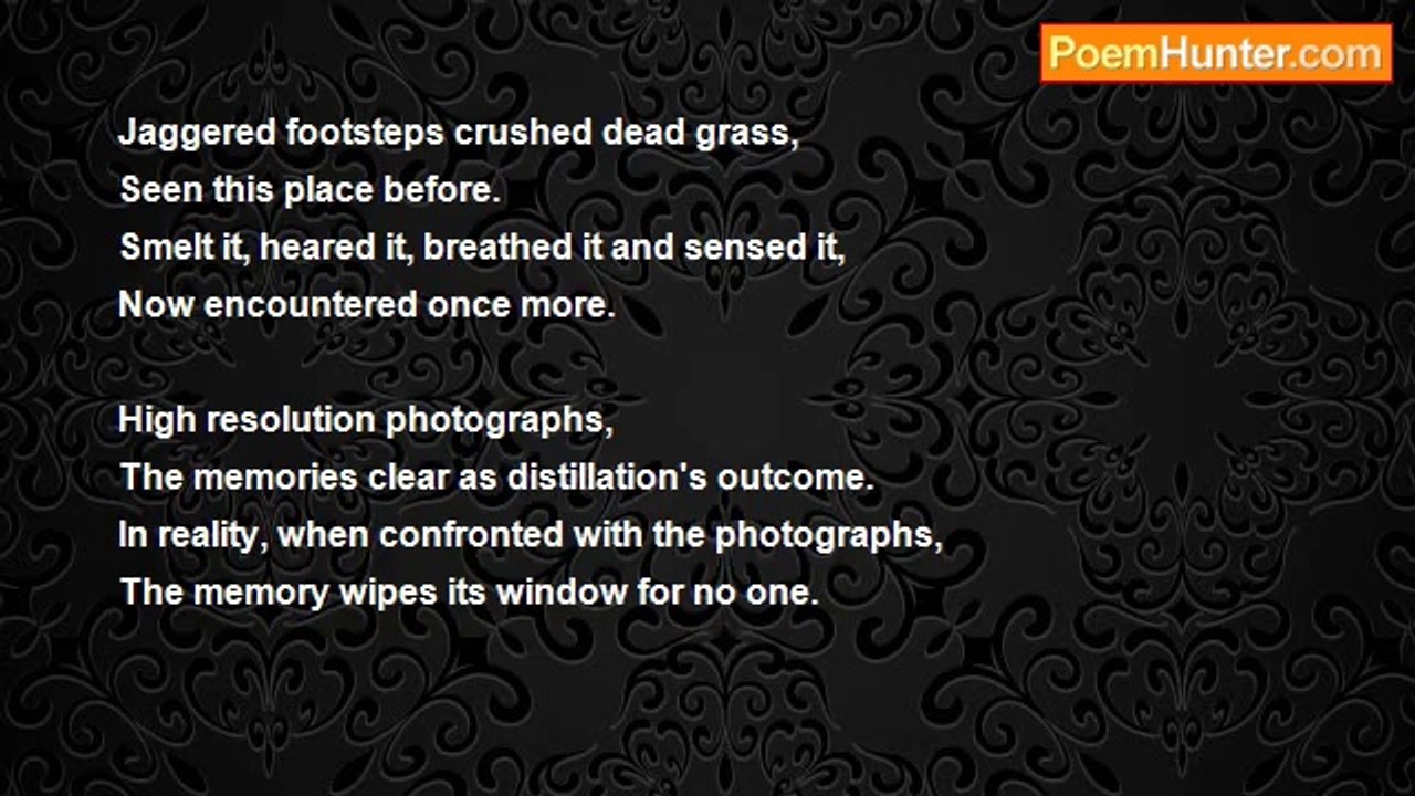 Rebecca Mummery - Re-incarnated Being