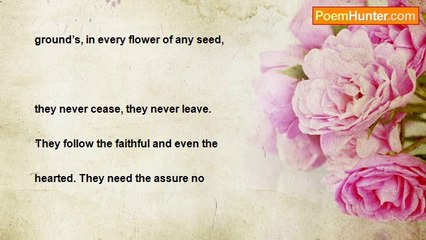 Elenushka Toledo - Angels of light