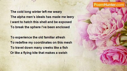 first comet - Winter moods