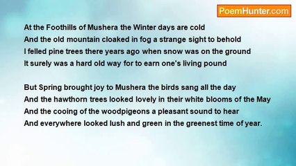 Francis Duggan - At The Foothills Of Mushera