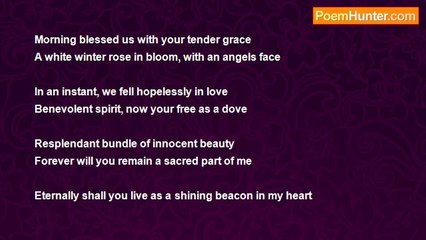 Mark Crane - Winter Rose