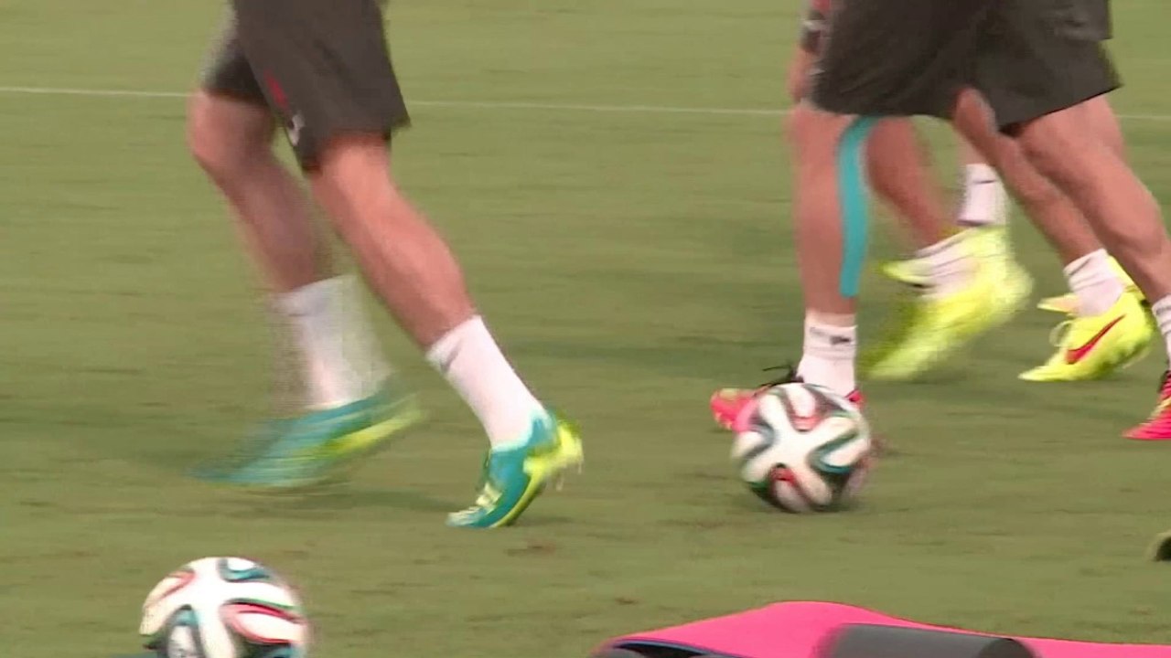 WM 2014: Pranjic: 'Müssen die drei Punkte holen'