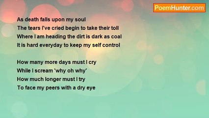 Joshua Johnson - Death Falls Upon A Wondering Soul