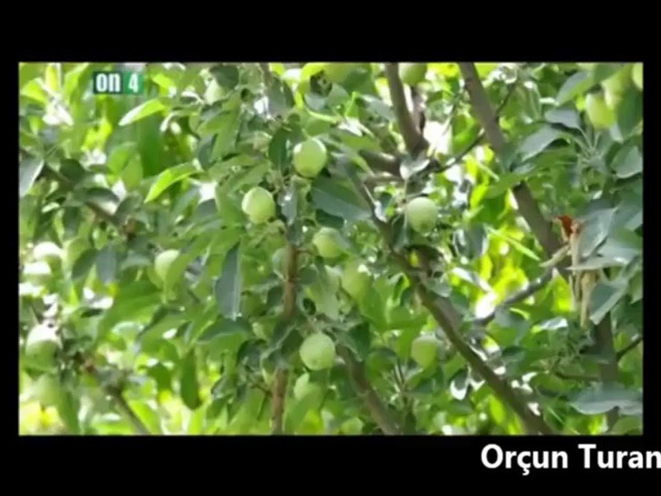 Iğdır Soykırım Anıt Müzesi