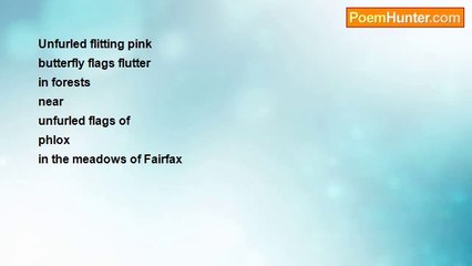 Saiom Shriver - Pink Butterflies