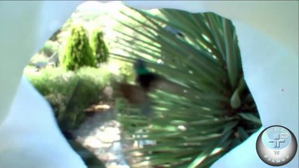 Lembra de mim by Beco da Arte