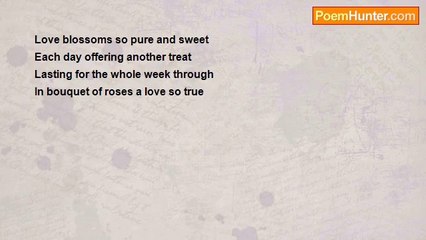 Tia Maria - Another Chapter of Love