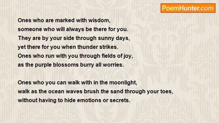 Javier Falcon - Friends