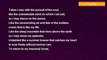 Ruerd Visser - The pursuit of my soul