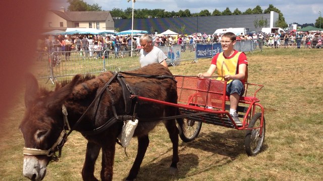 Fête des ânes à La Flèche