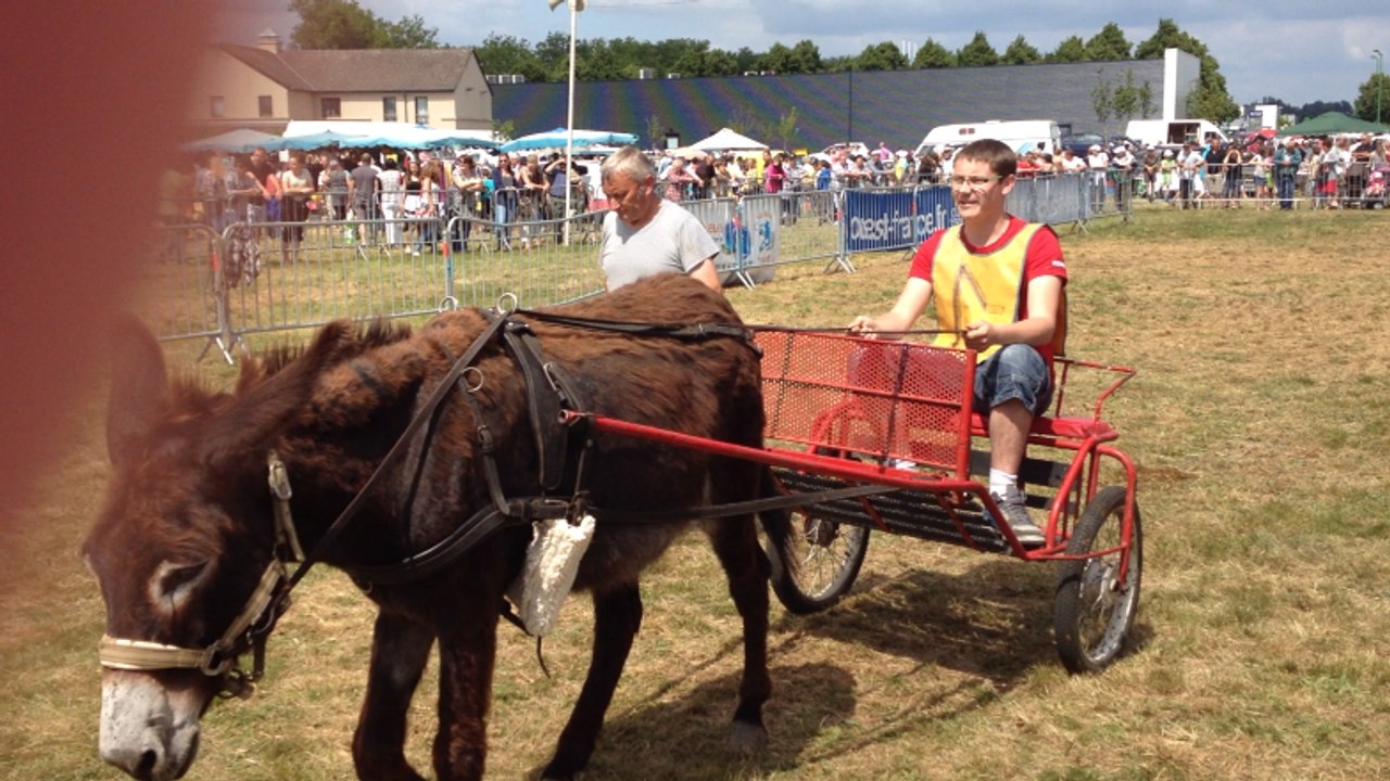 Fête des ânes à La Flèche