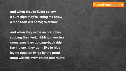 Manonton Dalan - born to be free