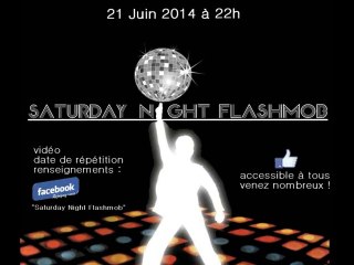 Flashmob 2014 à Saint-Dié-des-Vosges